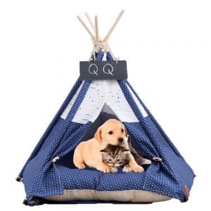 Arkmiido Perro para Perros y Cama para Gatos con cojín- Tiendas de campaña Casas para Mascotas con cojín y Pizarra (Azul)