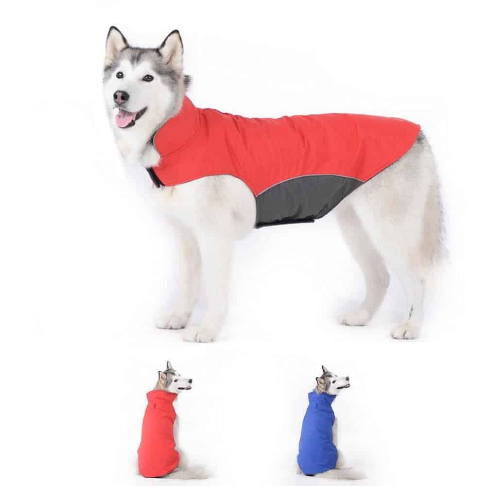 Bwiv Abrigos para Perros de Invierno Chaqueta Impermeable Forrado de Polar con Apertura para Correa varias tallas y colores