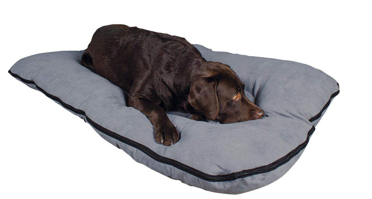 Cama para perros/colchoneta para perros XXL, 120x80 cm, gris, colchón de perro