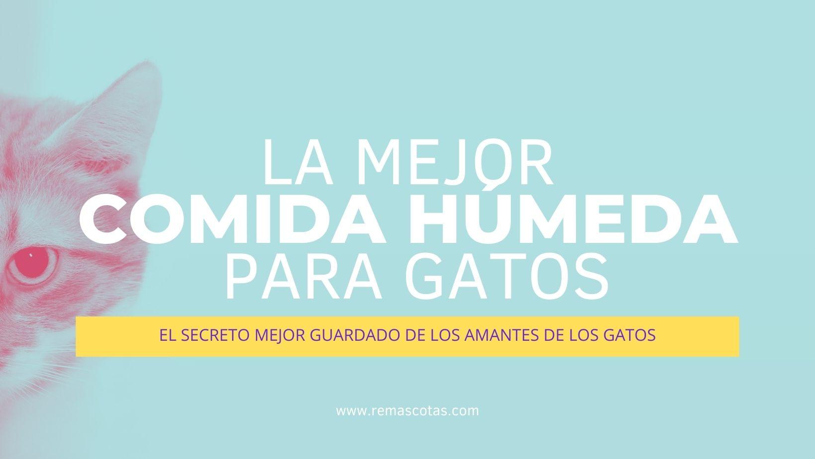 Mejor Comida Húmeda para Gatos 1 Comida húmeda para gatos de alta calidad en diferentes sabores y texturas.