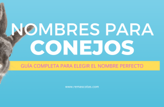 Posts Masonry 6 Nombres para Conejos