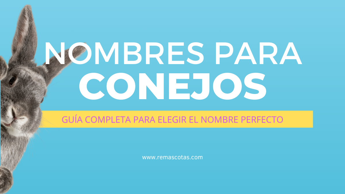 Nombres para Conejos 1