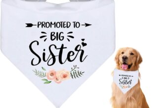 Promotion Bandana to be the Big Sister of Dogs – Ideal for Weddings with a Flower Design – Triangle Scarf for Pets, Perfect Accessory of Collars for Dogs