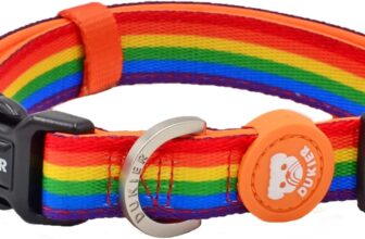 DUKIER – Dog Collar, Adjustable and Adjustable, Neoprene Pet Accessory, Heavy Duty, Unicorns, Size S