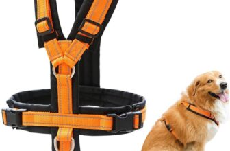 Large Dog Harness Reflective Orange Adjustable Comfortable Dog Accessories for Daily Walks (M)