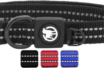 DDOXX Dog Collar Nylon, Adjustable, Reflective, Padded | Many Colours and Sizes | for Small, Medium and Large Dogs | Collars Accessories Cat Puppy | Black, S, GPS Locator Dogs