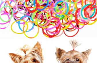 Veemoon 170 Pieces Pet Hair Bands Set – Shiny Elastic Ties and Bands for Combing Yorkshire Dogs and Other Breeds Reusable Accessories for Dog