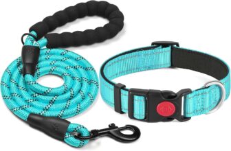 haapaw Reflective Dog Collar Padded with Soft Neoprene Adjustable Breathable Nylon Dog Collars for Small Medium Large Dogs