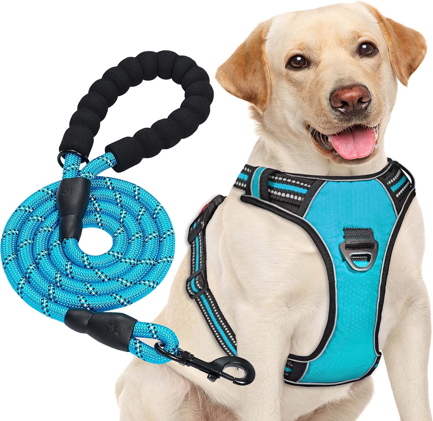 haapaw No Pull Dog Harness Adjustable Reflective Oxford Easy Control Medium Large Dog Leash with Heavy Duty Dog Leash 1