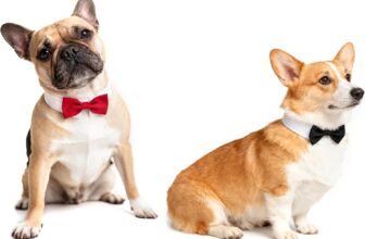 2 uds pajarita para mascotas para perros gatos esmoquin Collar ajustable cachorro gatito disfraz accesorios para boda fiesta de cumpleaños negro rojo