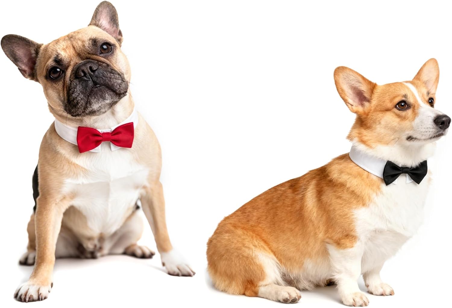 2 uds pajarita para mascotas para perros gatos esmoquin Collar ajustable cachorro gatito disfraz accesorios para boda fiesta de cumpleaños negro rojo 1