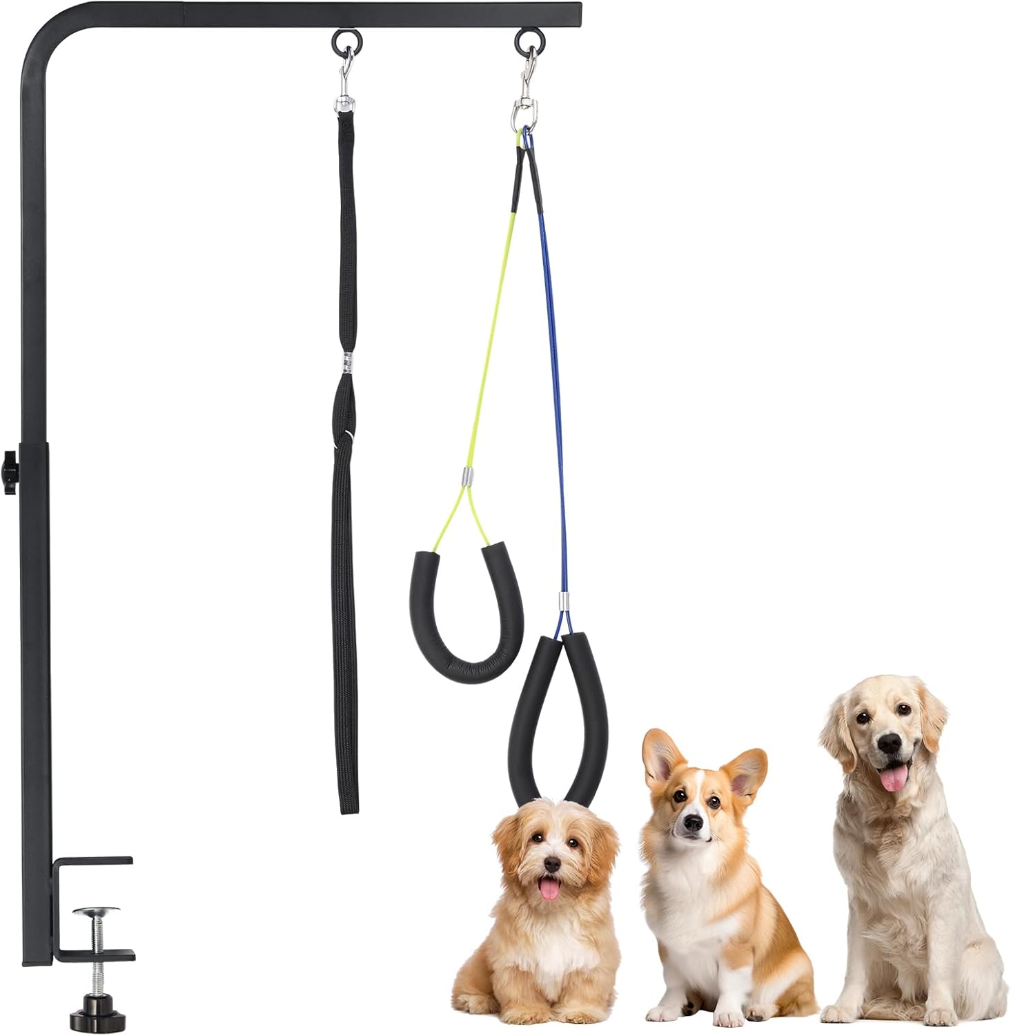 Brazo de Aseo para Perros con Clip - Accesorio para Perros de Altura Ajustable (45 - 70 cm) - Incluye Gancho y Clip para Cadera, Ideal para el Cuidado de Uñas y Pelaje 1