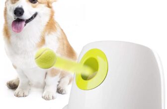 ALL FOR PAWS Lanzador automático de pelotas para perros – Máquina interactiva de lanzamiento de pelotas con 3 pelotas de tenis de 2″ incluidas, para perros pequeños y medianos, juguete interactivo para perros