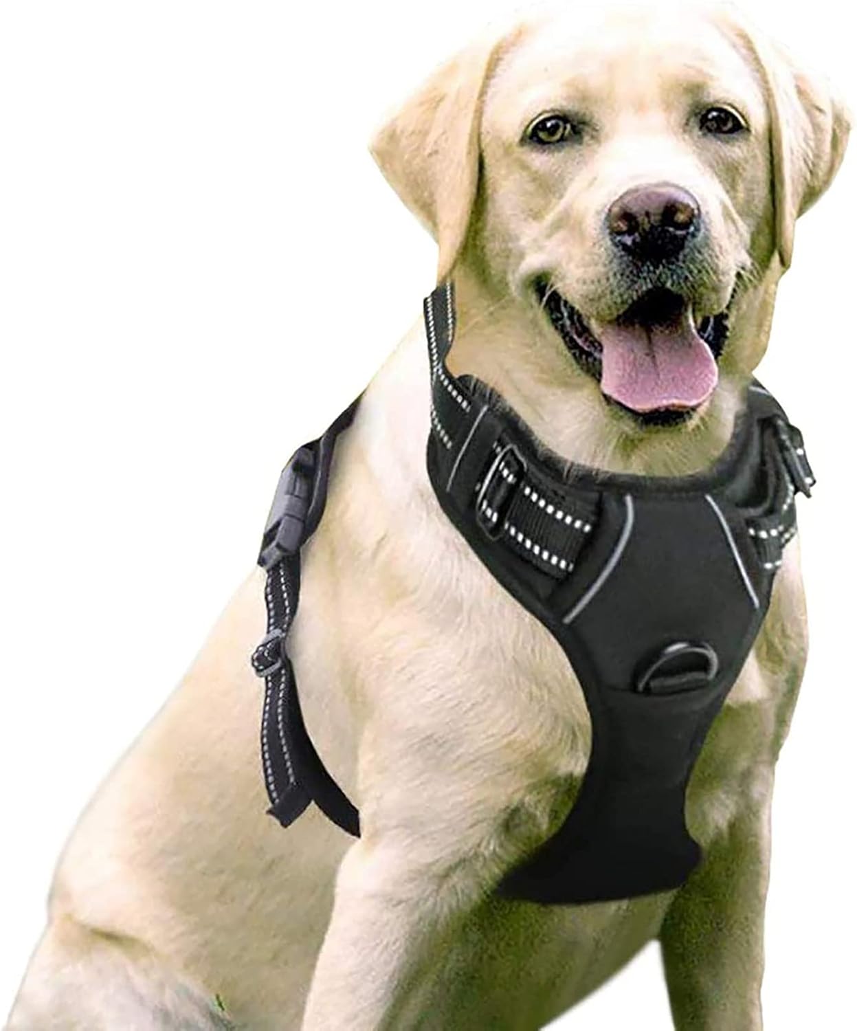 Rabbitgoo Arnés para Perros Grande Mediano Pequeño Arnés Pecho Antitirones Perros Coche con Líneas Reflectantes Cómodo Transpirable Chaleco Acolchado Ajustable para Entrenar Correr Negro Talla Grande 1