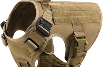 2 parches de reflexión infrarroja en entrenamiento «en entrenamiento», accesorios tácticos de insignia de seguridad moral para perros de entrenamiento, perros de trabajo, guía de perros de servicio