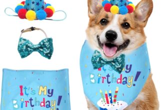 3 Piezas Accesorios para Fiestas de Cumpleaños para Mascotas, Toallas para la Cabeza de Cumpleaños para Perros, Juegos de Decoración para Perros y Gatos, Accesorios de Ropa para Mascotas, Accesorios para Mascotas