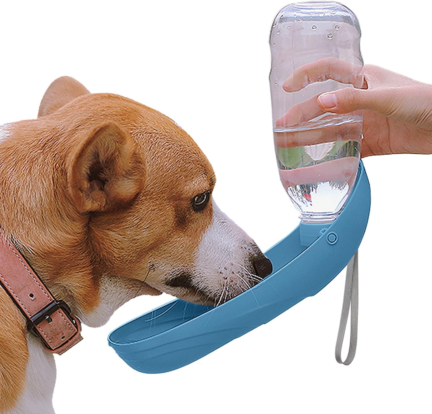 NAMSAN Botella para Beber para Perros 550 ML Accesorios de Playa para Perros y Gatos Bebedero Plegable Fácil de Transportar para Actividades al Aire Libre - Azul 1