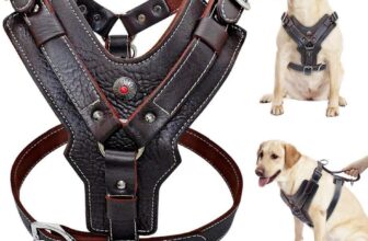 Arnés para perros de cuero genuino, duradero, ajustable, para perros grandes, control rápido con asa, accesorio para mascotas para Labrador K9 (L)