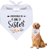 Promotion Bandana to be the Big Sister of Dogs – Ideal for Weddings with a Flower Design – Triangle Scarf for Pets, Perfect Accessory of Collars for Dogs
