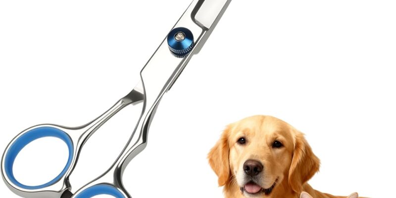 Curved Dog Scissors, Stainless Pet Scissors with Safety Round Tips, Pet Care Accessories for Cutting/Trimming Pet Hair, Blue, 17cm