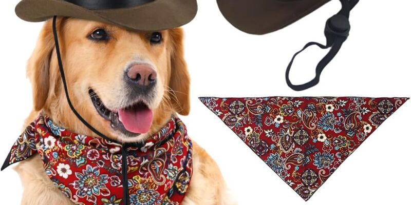Juego de 2 accesorios para mascotas, sombrero de vaquero y pañuelo retro, decoración de carnaval para perros y gatos de todos los tamaños