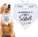 Promotion Bandana to be the Big Sister of Dogs – Ideal for Weddings with a Flower Design – Triangle Scarf for Pets, Perfect Accessory of Collars for Dogs