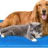 Pecute Estera de enfriamiento para Perros Actualización engrosada 0,4 mm 300D Oxford Estera de enfriamiento automático para Mascotas