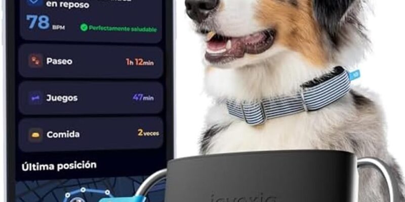 Invoxia Minitailz – Dog Health & GPS Tracker #1 – Cardiac & Respiratory Scanning – Real Time Location – Activity & Wellness Analysis – No Subscription – Compact & Lightweight