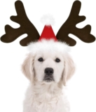 Christmas Headband for Pets Adjustable Reindeer Antlers Headband for Dog Cat Christmas Headwear Brown Reindeer Shape for Pet Accessory Festive Christmas Parties Cosplay (B)