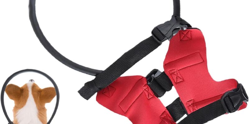Blind Dog Harness, Anti-Collision Ring for Visually Impaired Pets, Safety Accessories & Protection for Outdoor Walks