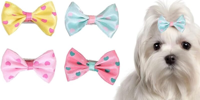 6 Pieces Small Dog Bows, Dog Hair Care Accessories, Dog Hair Bow, for Medium Dogs, Random Pattern