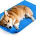 Pecute Estera de enfriamiento para Perros Actualización engrosada 0,4 mm 300D Oxford Estera de enfriamiento automático para Mascotas