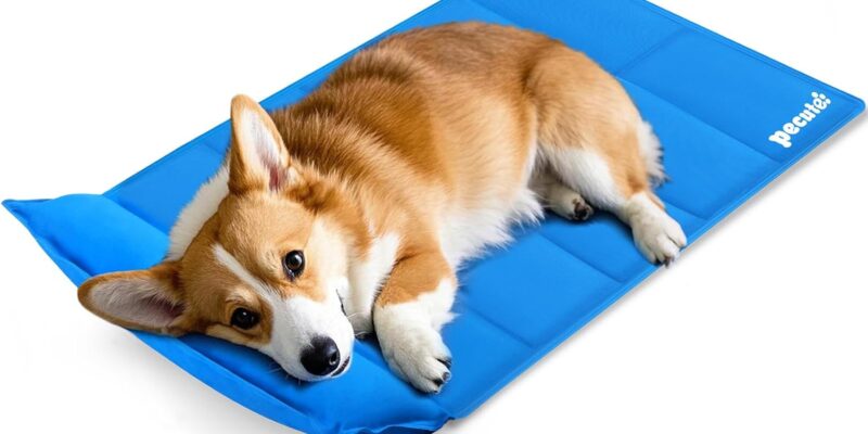 pecute Estera de enfriamiento para Perros L 90 x 50 cm Estera de enfriamiento para Mascotas con Almohada Estera de enfriamiento automático para Mascotas Ideal para Perros, Gatos en Verano