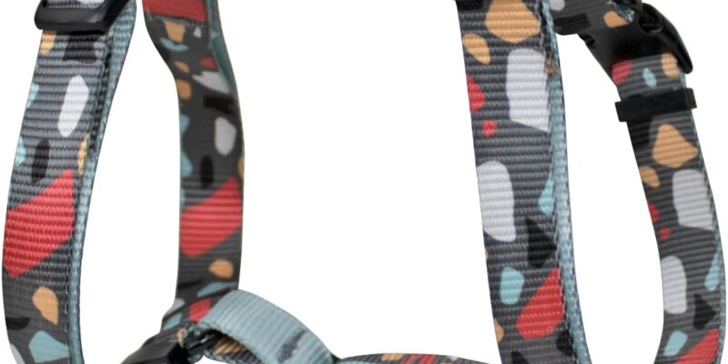 Consentida Harness for Large Dogs T4-42 – 70 x 2.5 cm – Made of Nylon – Mosaic Design – Size XL – Very Resistant and Comfortable – Accessories for Dogs