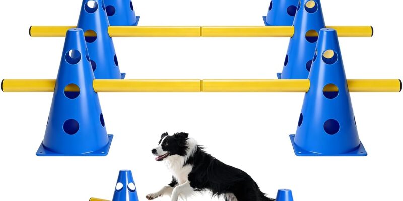 Dog Agility Set de 6 Cavaletti Dog Hobby Horse Obstacle Obstacle Hobbies Horsing Dog Training Agility Accesorios