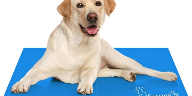 Pecute Estera de enfriamiento para Perros Actualización engrosada 0,4 mm 300D Oxford Estera de enfriamiento automático para Mascotas