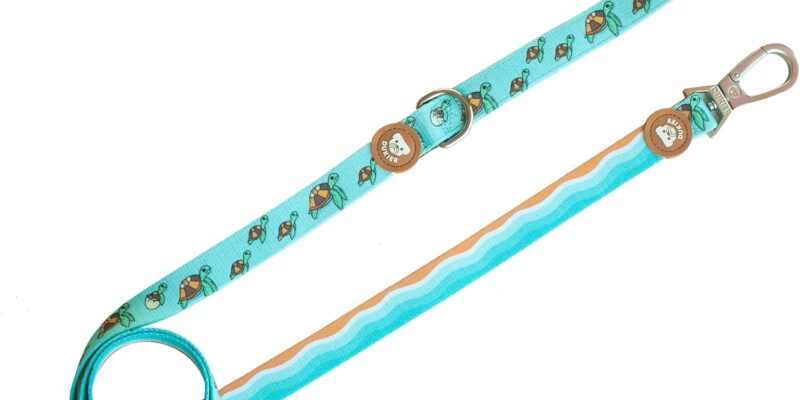 DUKIER – Correa para Perro, Extensible Larga y Resistente con Mosquetón de Seguridad, Tortuga de Neopreno, Talla S