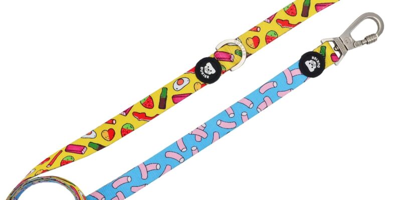 DUKIER – Correa para Perros – Correa Extensible de Neopreno Larga y Duradera con Mosquetón de Seguridad – Diseño Dulces, Talla S