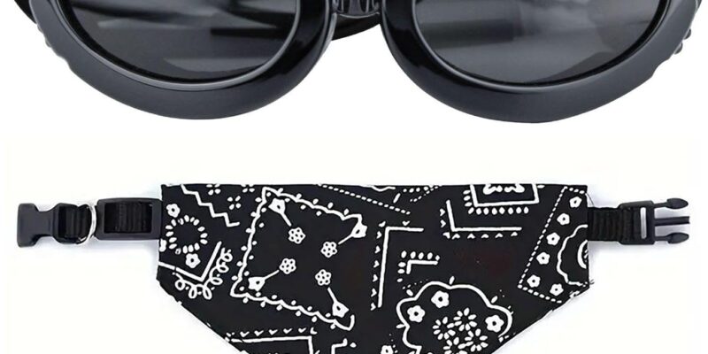 Gafas y pañuelo para perros pequeños, gafas de sol ajustables, accesorios para mascotas