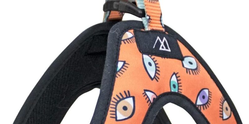 Triangle Harness for Small Dogs – Size S1 – 14 x 13 x 4 cm – Eyes Design – Very Resistant and Comfortable – Reduces Pulling – Dog Accessories
