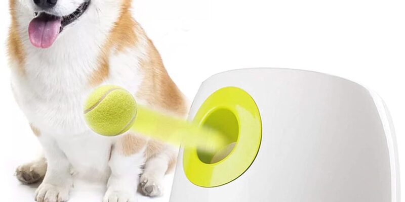ALL FOR PAWS Lanzador automático de pelotas para perros – Máquina interactiva de lanzamiento de pelotas con 3 pelotas de tenis de 2″ incluidas, para perros pequeños y medianos, juguete interactivo para perros