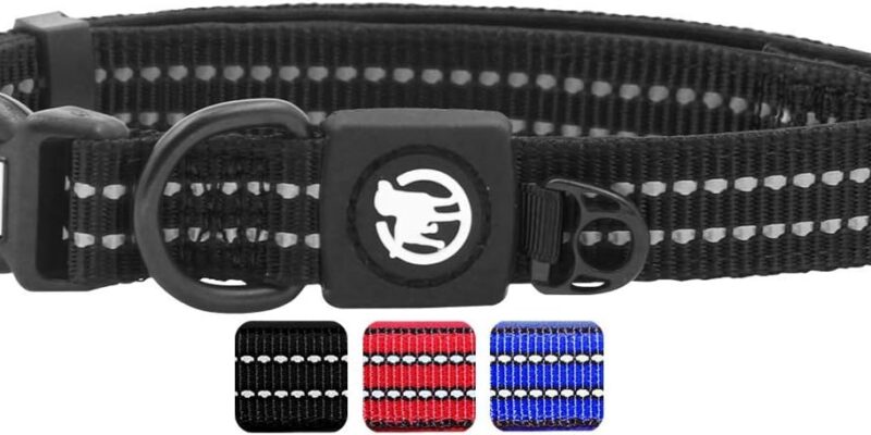 DDOXX Dog Collar Nylon, Adjustable, Reflective, Padded | Many Colours and Sizes | for Small, Medium and Large Dogs | Collars Accessories Cat Puppy | Black, S, GPS Locator Dogs