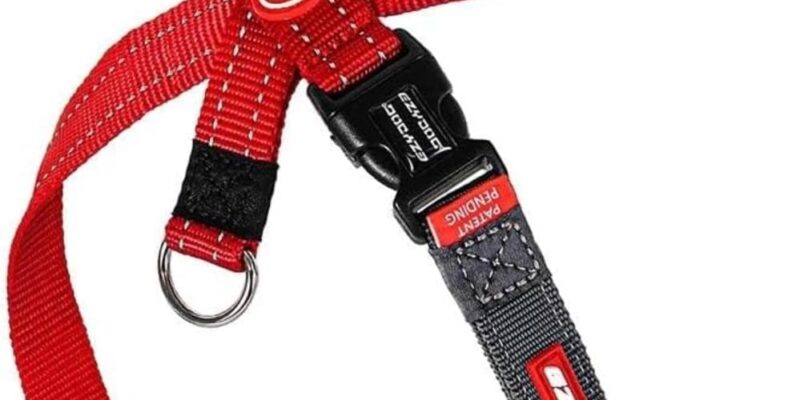 EzyDog Arnés para perros sin tirones – Accesorios de entrenamiento para perros pequeños, medianos y grandes, tamaño ajustable reflectante (XS, rojo)