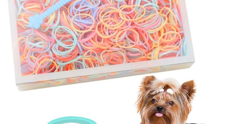 1000PC Hair Gummies, Dog Elastic Bands Bundles, Mini Small Hair Ties, Dog Hair Accessories, with Hair Band Cutter, Beauty Accessories