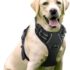 Pecute Estera de enfriamiento para Perros Actualización engrosada 0,4 mm 300D Oxford Estera de enfriamiento automático para Mascotas
