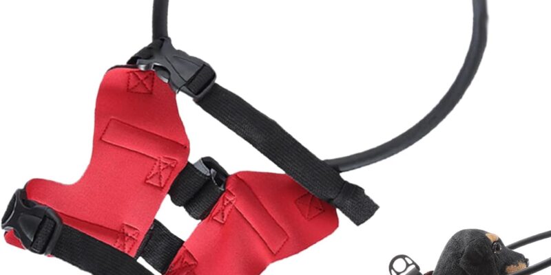 Protector Blind Dogs, Halo Collar Protector for Blind Dogs, Protection Accessory for Collar Guides Cats with Poor Vision and Blindness Outdoor Safety