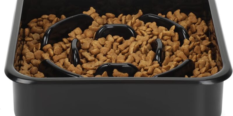 PETTOM Slow Feeder Dog Accessory, Anti-oracity Bowl Dog Accessories for Slow Eating Slow Food