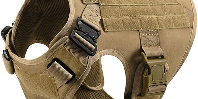 2 parches de reflexión infrarroja en entrenamiento «en entrenamiento», accesorios tácticos de insignia de seguridad moral para perros de entrenamiento, perros de trabajo, guía de perros de servicio