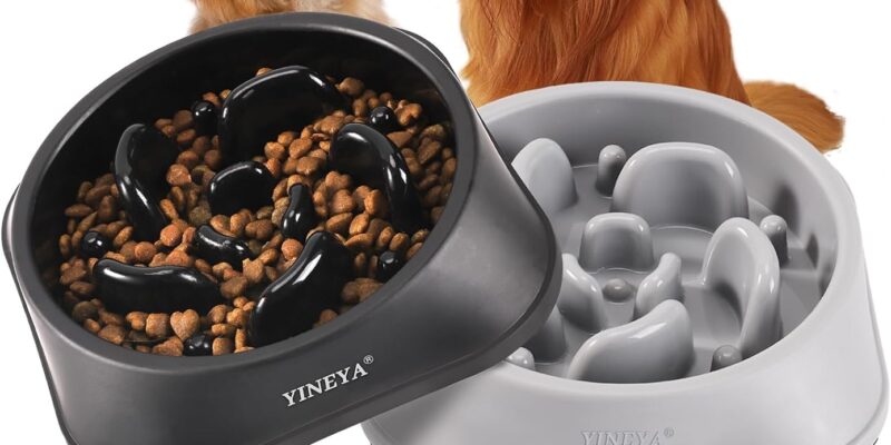 YINEYA – Set de 2 Antiglotones, Cuenco para Perros y Gatos, Antiglotones, Accesorio Reductor de Alimentación, Laberinto Puzzle para Razas Medianas