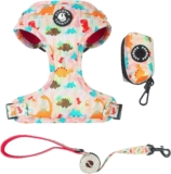 Accesorios para perros pequeños, medianos y grandes (dinosaurio, XS (cuello 9″-11″; pecho 11″-13″)